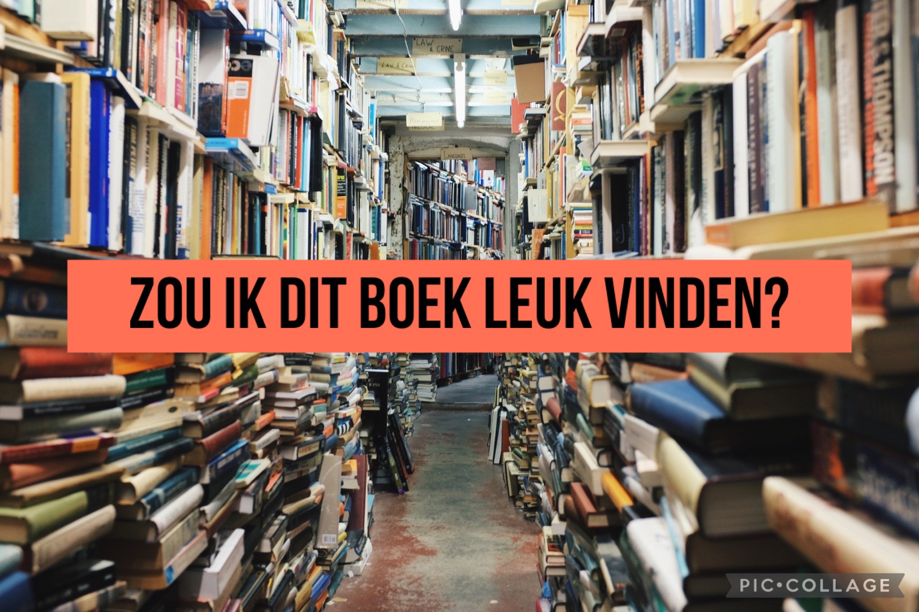 Zou ik dit boek leuk vinden? – BookSomeTea