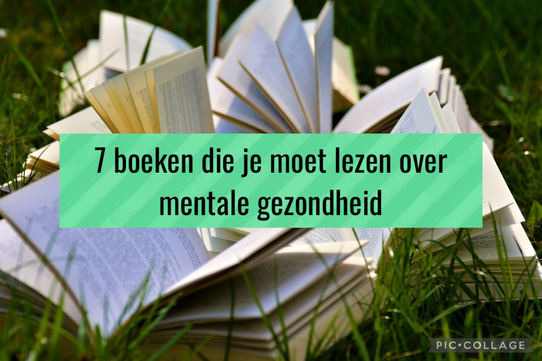 7 boeken die je moet lezen over mentale gezondheid – BookSomeTea